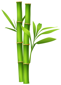 Bamboo PNG-63807